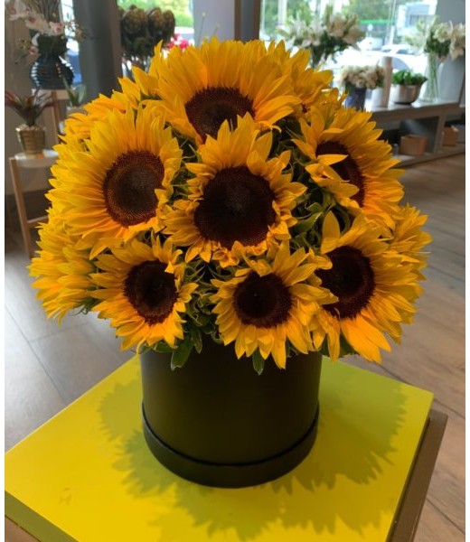 Flower Box Sunflowers